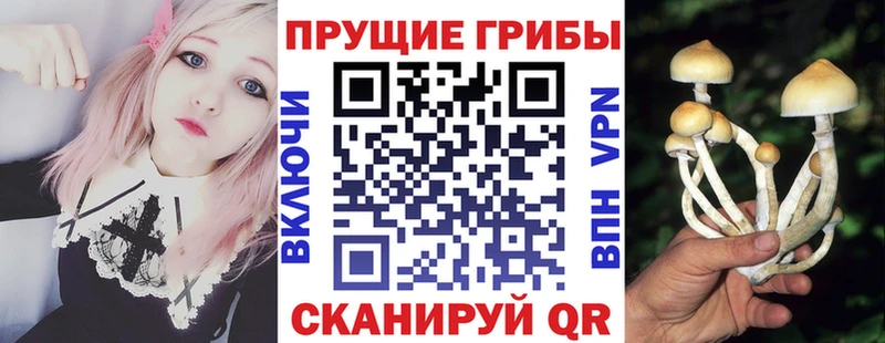 Галлюциногенные грибы Psilocybine cubensis  где купить наркоту  Уварово 